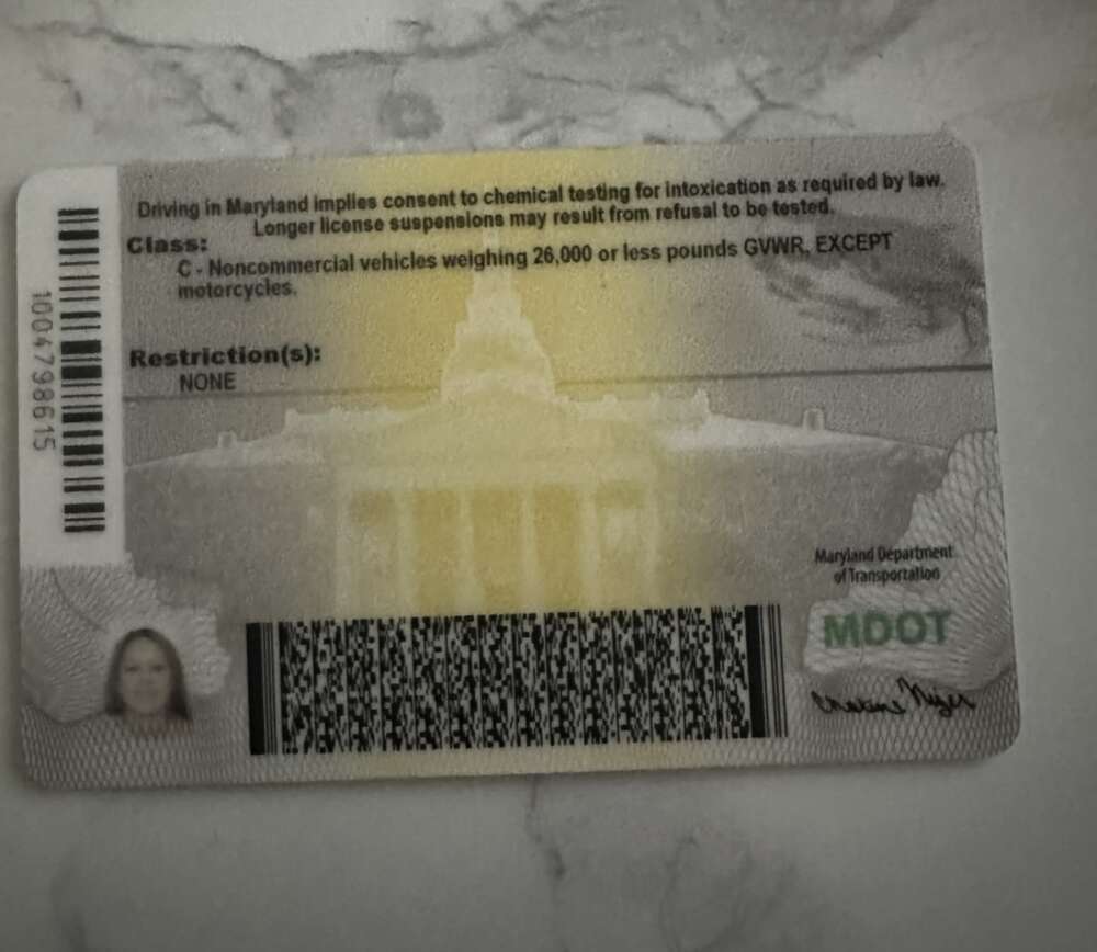 Back of Drivers License (Picture)